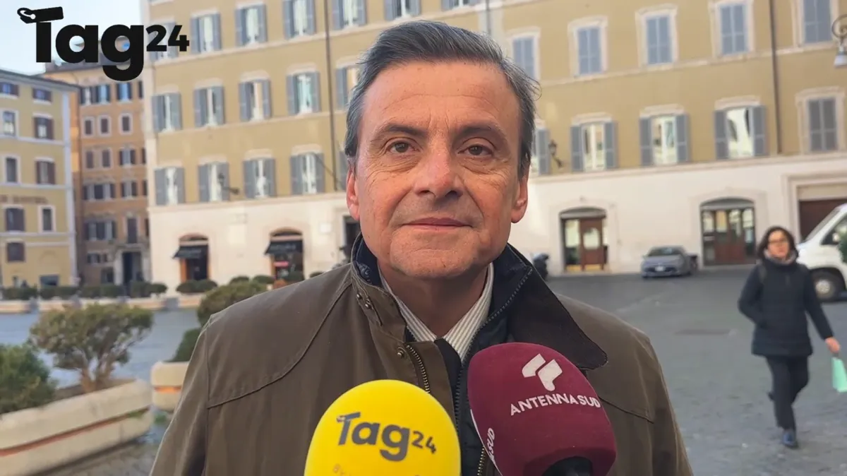 Calenda contro il governo: "Nucleare in Italia ora, tornare al gas russo sarebbe un suicidio energetico"