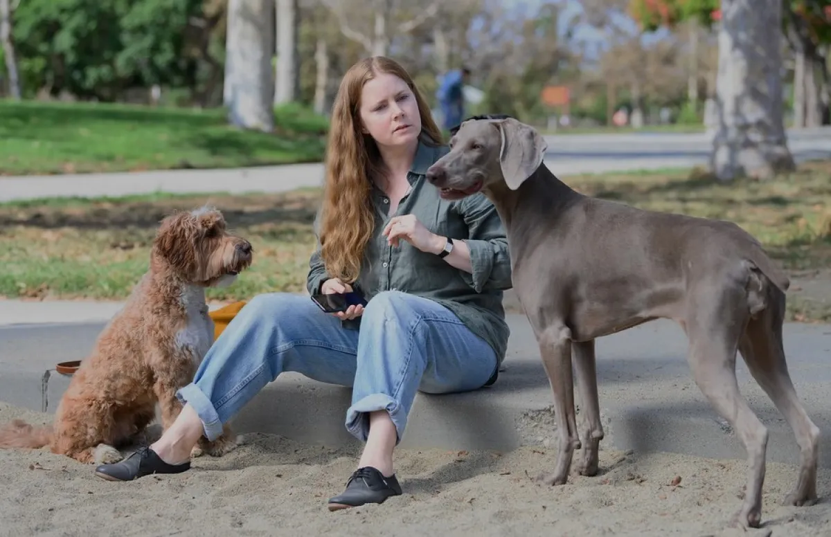 "Nightbitch": Amy Adams è la protagonista della nuova commedia della regista Marielle Heller