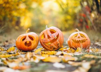 Halloween Milano 2024, cosa fare con i bambini: gli eventi da non perdere