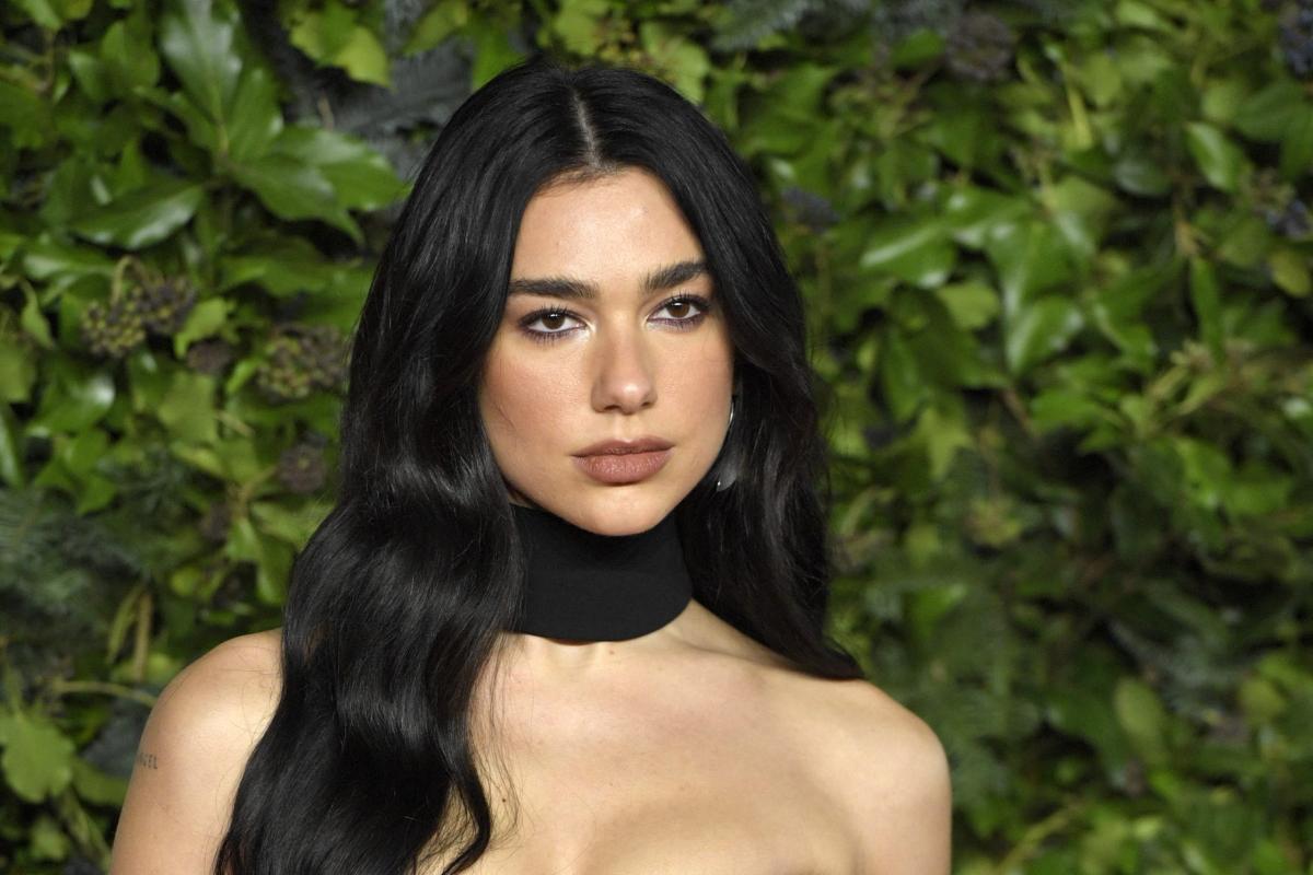 Dua Lipa scatenata al concerto di Mahmood: scatta il selfie