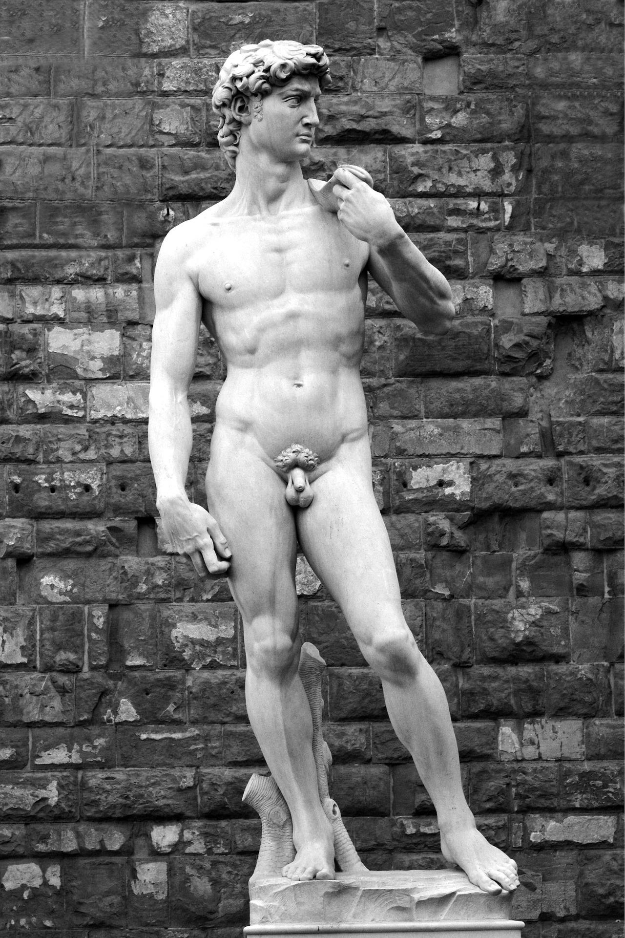 Docente licenziata David di Michelangelo, Nannipieri: “USA schizofrenici”