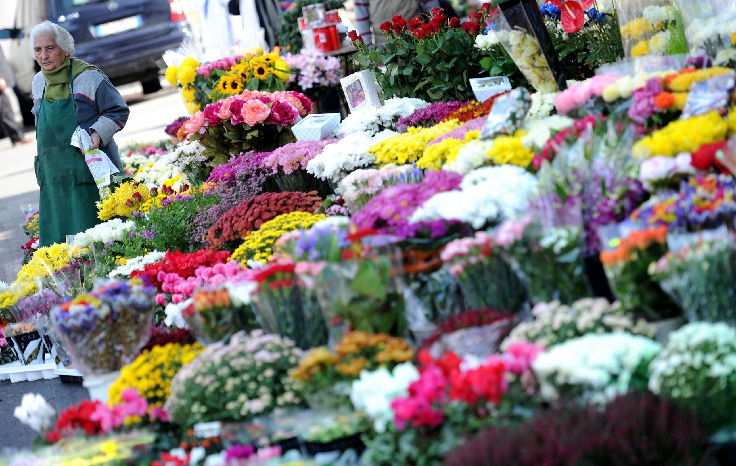 Festa dei morti, perché i crisantemi sono i fiori più acquistati dagli italiani per abbellire le tombe