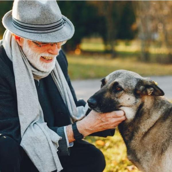 Qual è l’effetto dei cani sulle persone anziane? Ecco i tanti benefici della pet therapy