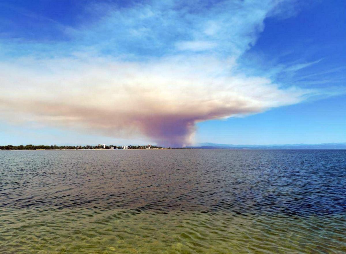 Torna l’incendio in Carso: centinaia gli sfollati￼