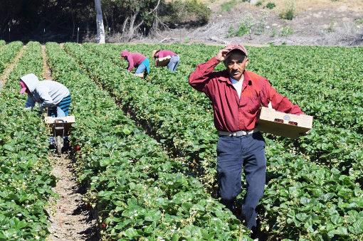 Lavoro “in nero” in crescita, 2 aziende su 3 risultano irregolari