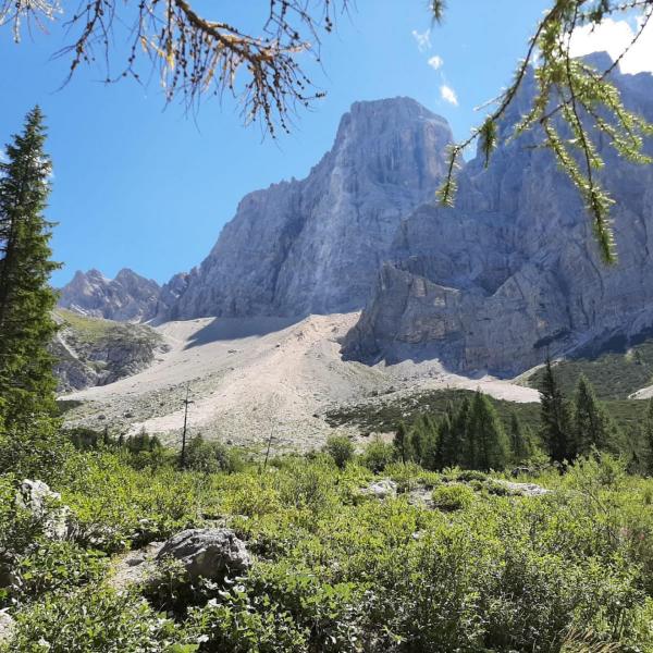 Il proprietario di Patagonia cede l’azienda per salvare l’ambiente