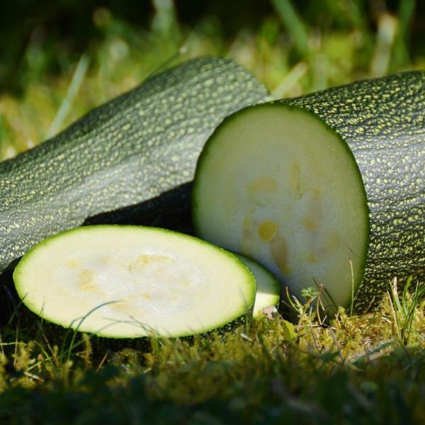 Cucinare le zucchine: 5 ricette facilissime