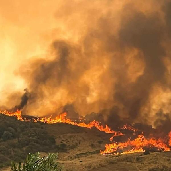 Incendio Quartu Sant’Elena: paura alle porte del cagliaritano