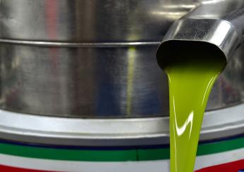 Cos’è l’olio lampante e quali sono le differenze con quello extravergine