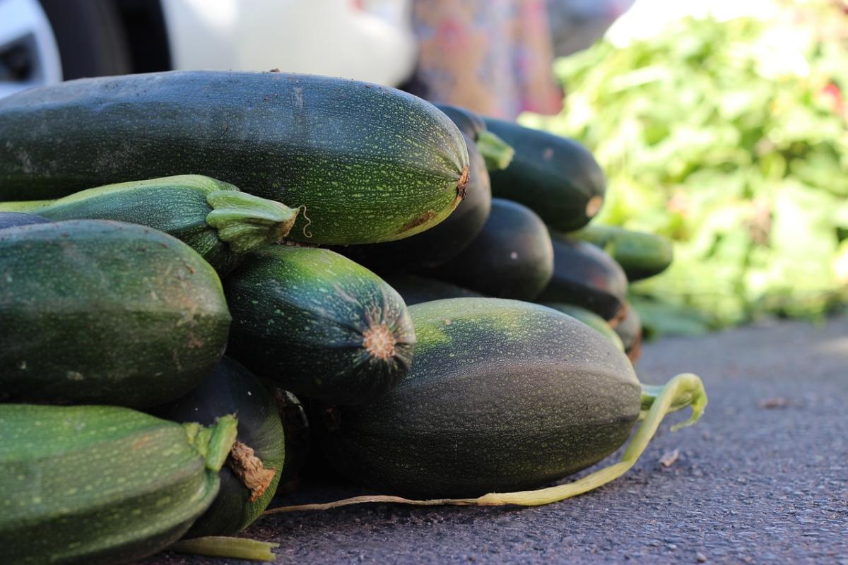 Sapori d’estate: le zucchine in carpione