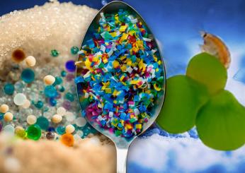 Microplastiche: cosa sono e come alterano gli ecosistemi naturali