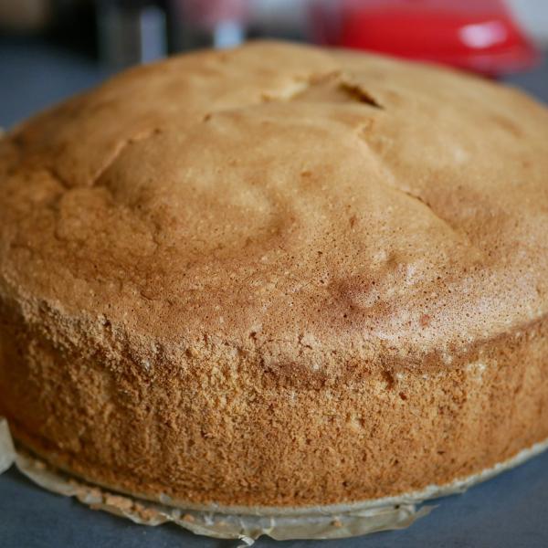 Un dolce super soffice? Ecco la torta al latte caldo, anche al cacao