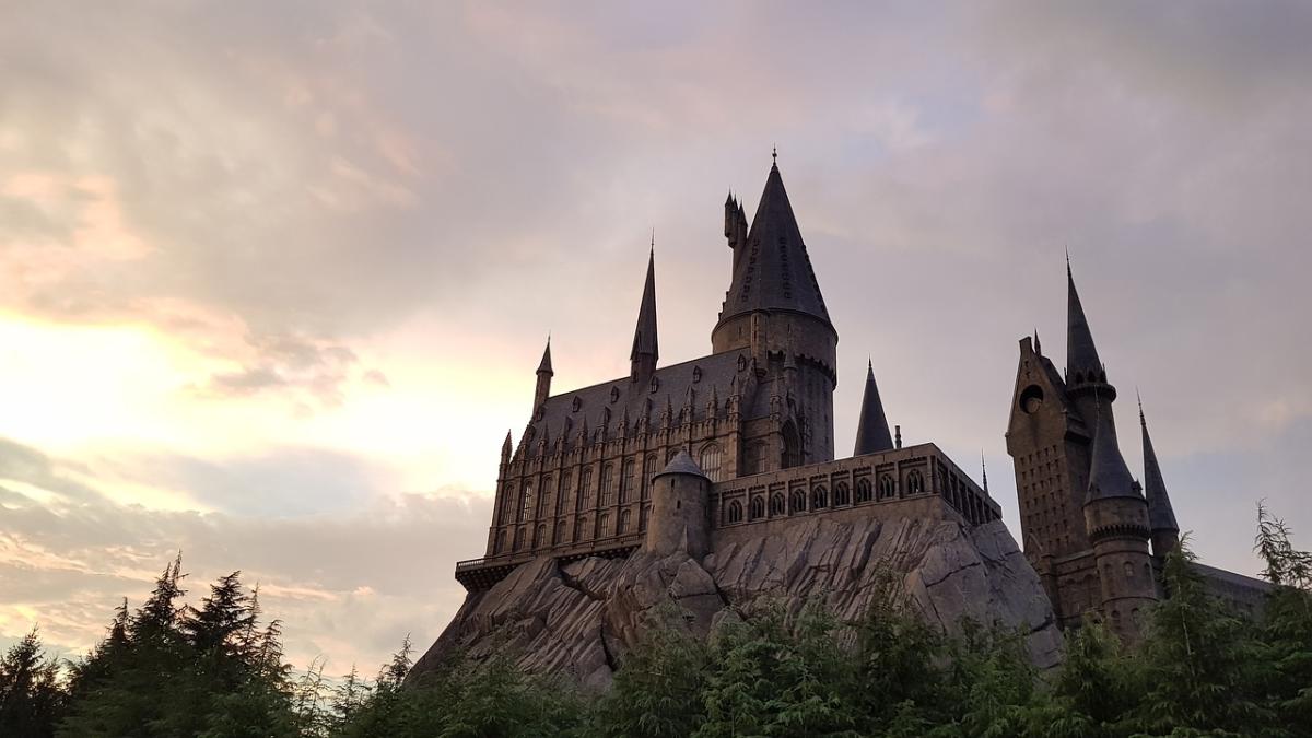 Reunion Harry Potter, altre novità in arrivo