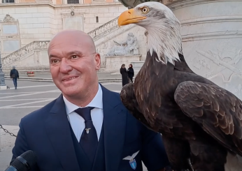 Lazio-Roma, il falconiere Bernabé scherza: “Olimpia colpita da affermazioni di Mourinho” | VIDEO