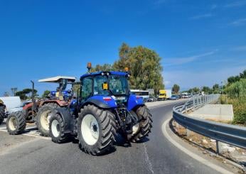 Reggio Calabria, trattore si ribalta nella Piana di Gioia Tauro: morto un uomo