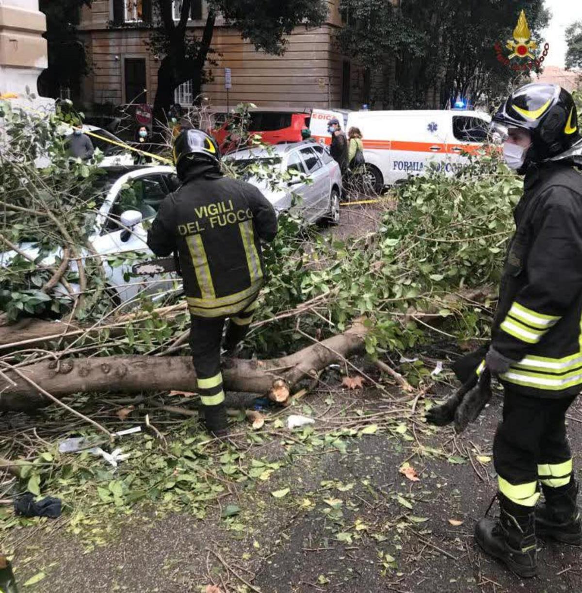 Roma, nel quartiere Aventino cade albero su un’auto: nessun ferito