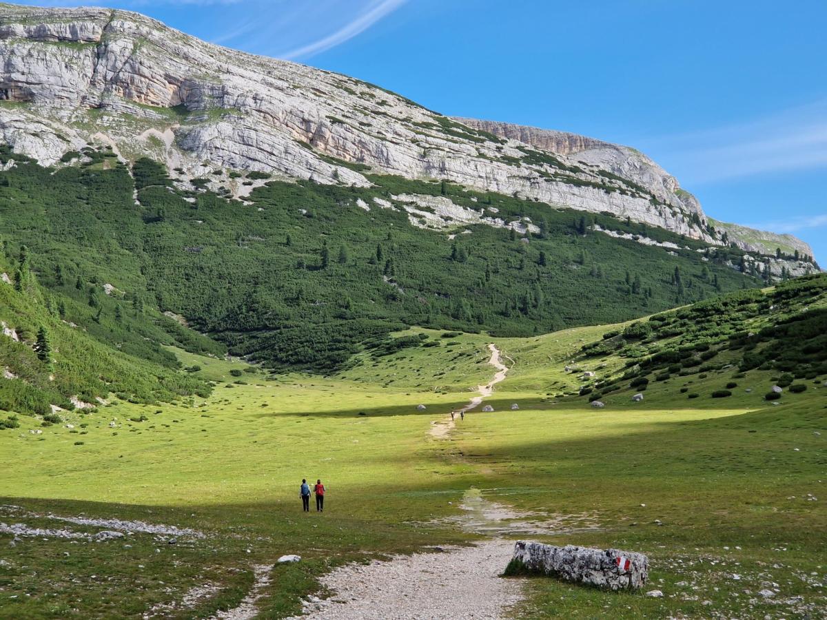 Alto Adige, passo decisivo per l’abbattimento dei lupi. Il governat…