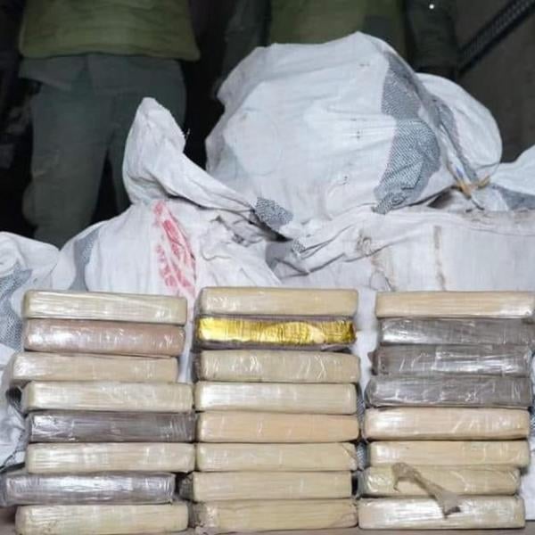 Blitz antidroga a Savona, intercettati e sequestrati 116 kg di cocaina all’interporto di Vado Ligure: introiti stimati per 7 milioni di euro