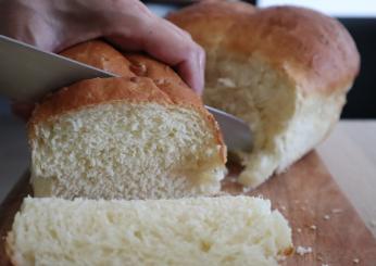 Come si fa lo Shokupan: ricetta del morbidissimo pane al latte giapponese