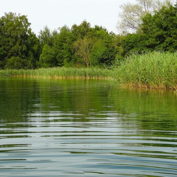 Non solo siccità: la qualità dell’acqua dei nostri fiumi e laghi