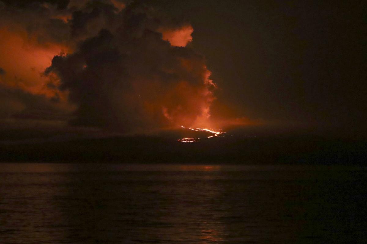 Galapagos, erutta il vulcano La Cumbre: diverse specie di animali a rischio