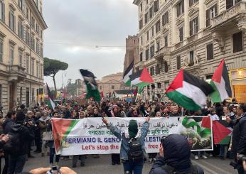 Manifestazione Palestina 2023, Maya Issa (Movimento studenti palest…