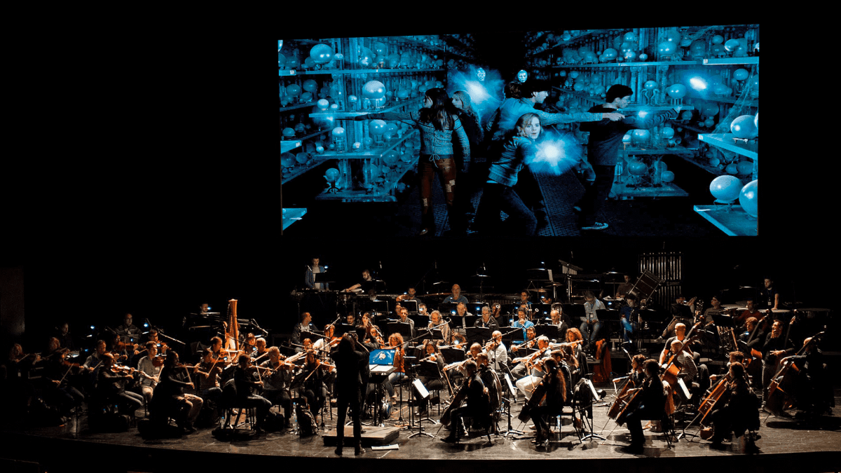 Harry Potter in concerto a Roma: biglietti, date e dove vedere  “L’…