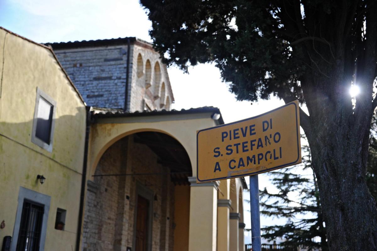 A Pieve Santo Stefano torna la sagra del prugnolo 2023