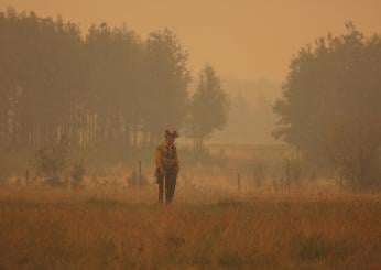 Canada, i fumi degli incendi arrivano in Norvegia: è allarme climatico anche in nord Europa