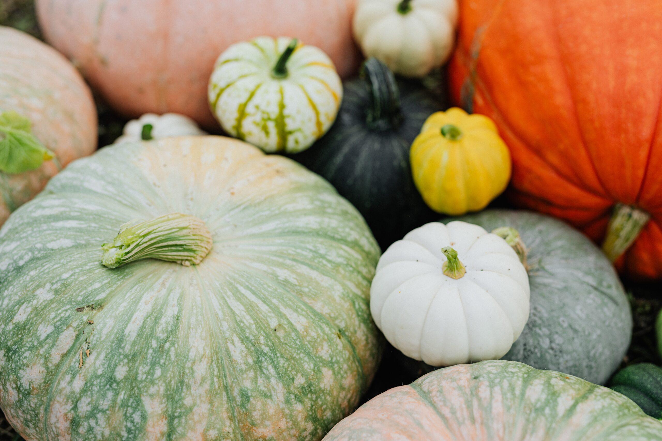 Qual è la migliore zucca da usare in cucina