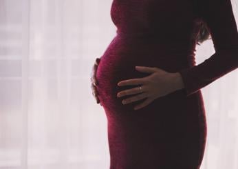 Maternità surrogata, cosa ha deciso il voto europeo sul diritto di genitorialità e utero in affitto