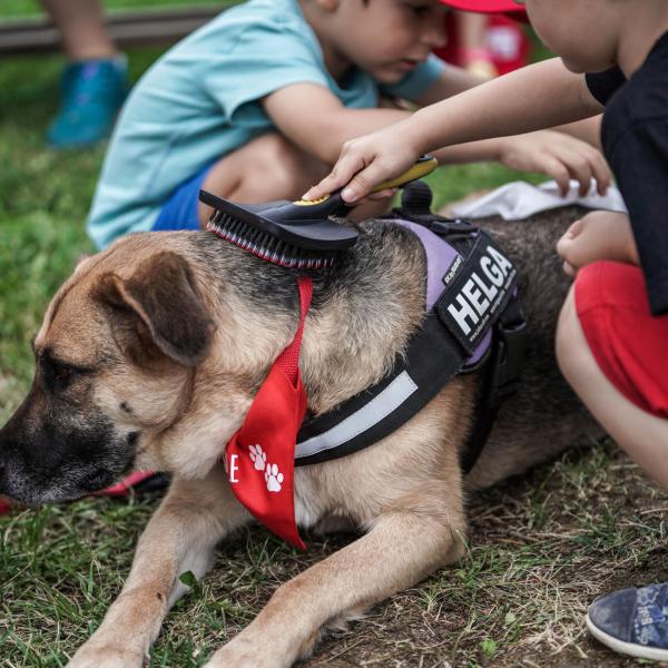 Vivere con animali domestici riduce le allergie nei bambini: il nuovo studio giapponese