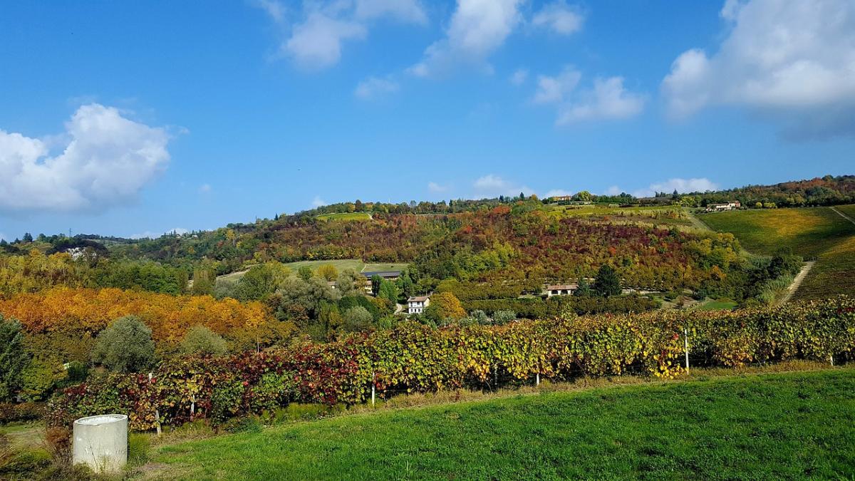 Torna la Festa del Vino del Monferrato Unesco