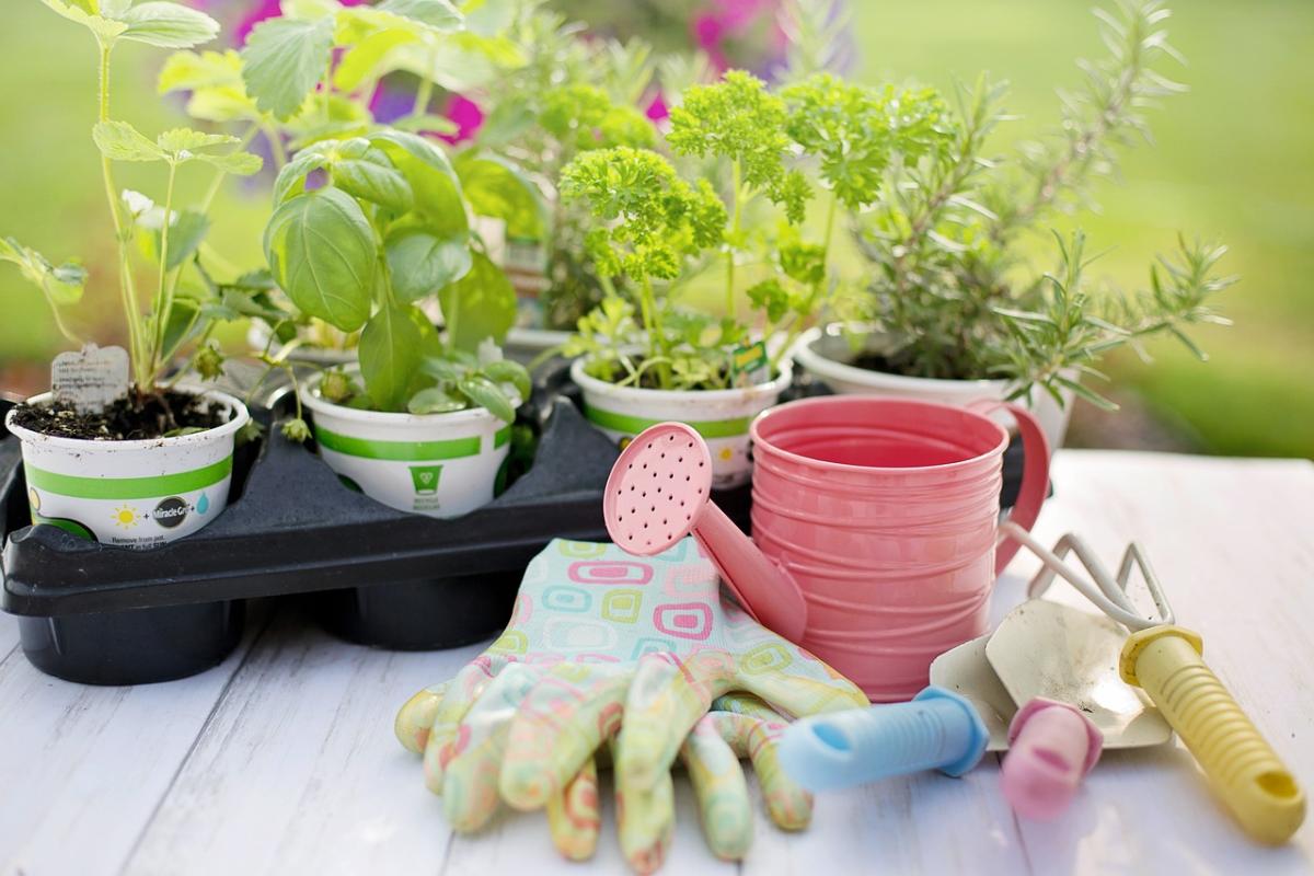 Garden Therapy: cos’è, le sue origini e i benefici di questa pratica