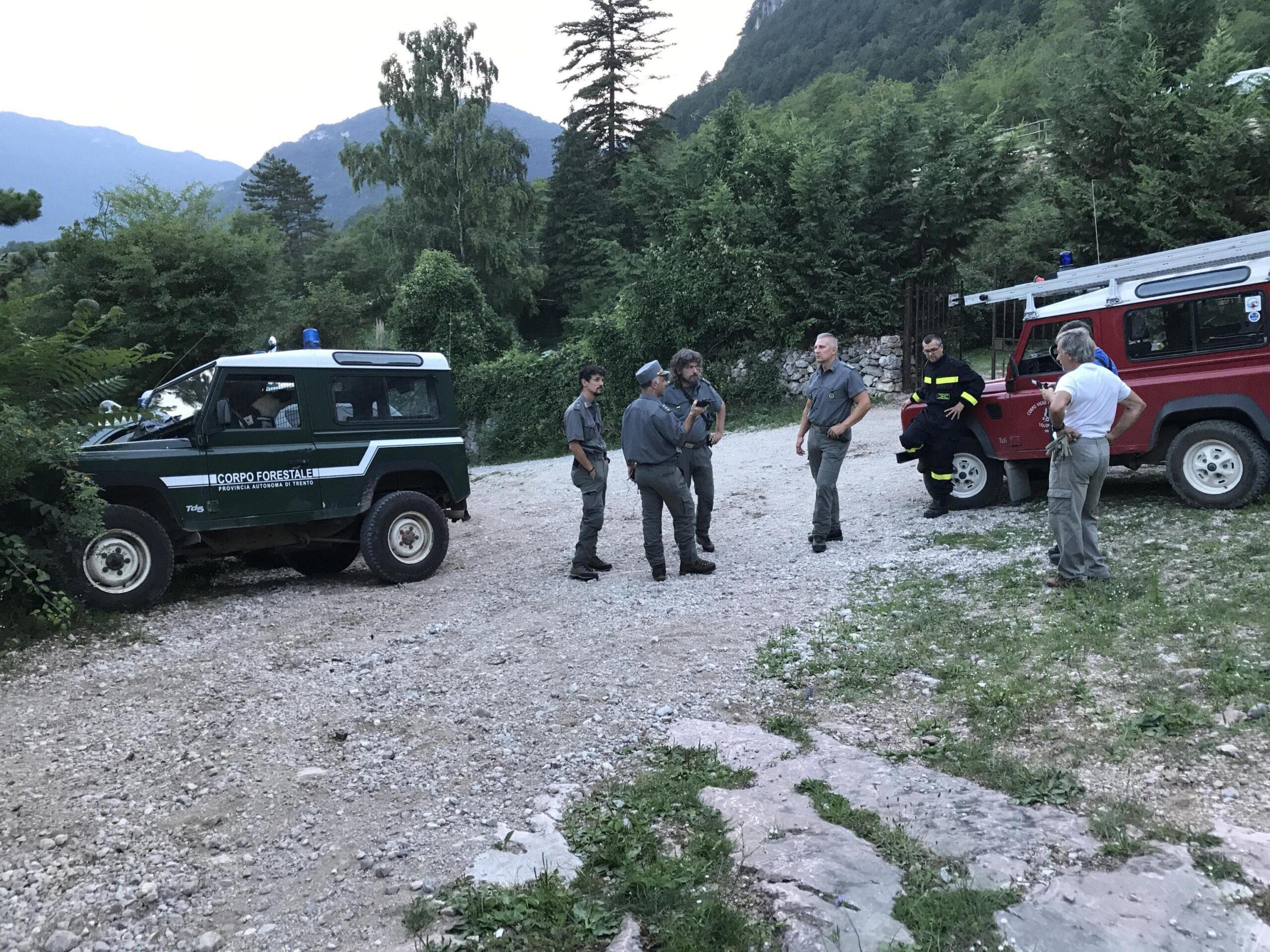 turista aggredito orso trentino 16 luglio 2024