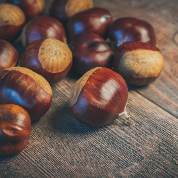 Viva l’autunno con la torta di castagne