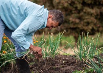 Orario di lavoro, sospensione per il troppo caldo: quali sono le indicazioni dell’INL