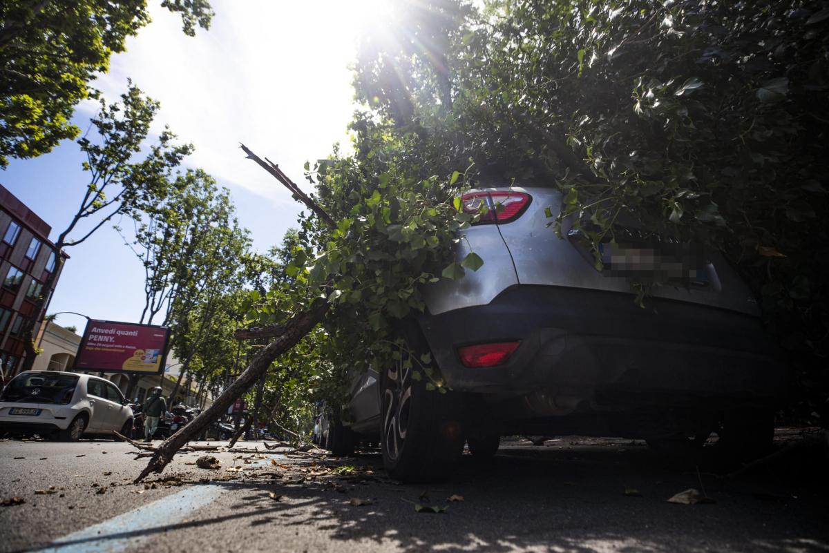 Maltempo, a Roma situazione difficile: strade allagate e invase dal…