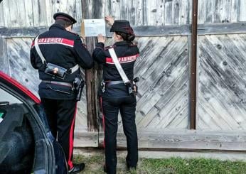 Roma, pony maltrattato e abbandonato ad Albano Laziale: carabinieri lo salvano