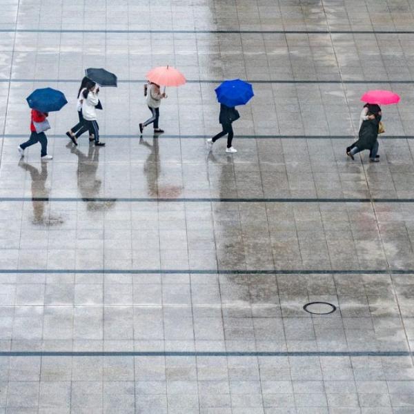 Decreto Lavoro, Naspi e Rdc: rivoluzione e novità per i Lavoratori, ecco cosa cambia e per chi