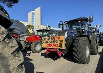 Continuano le proteste degli agricoltori in tutta Italia: manifestazioni anche in Sicilia, Sardegna e Calabria