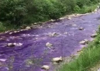 Perché l’acqua del torrente Lura è diventata viola?