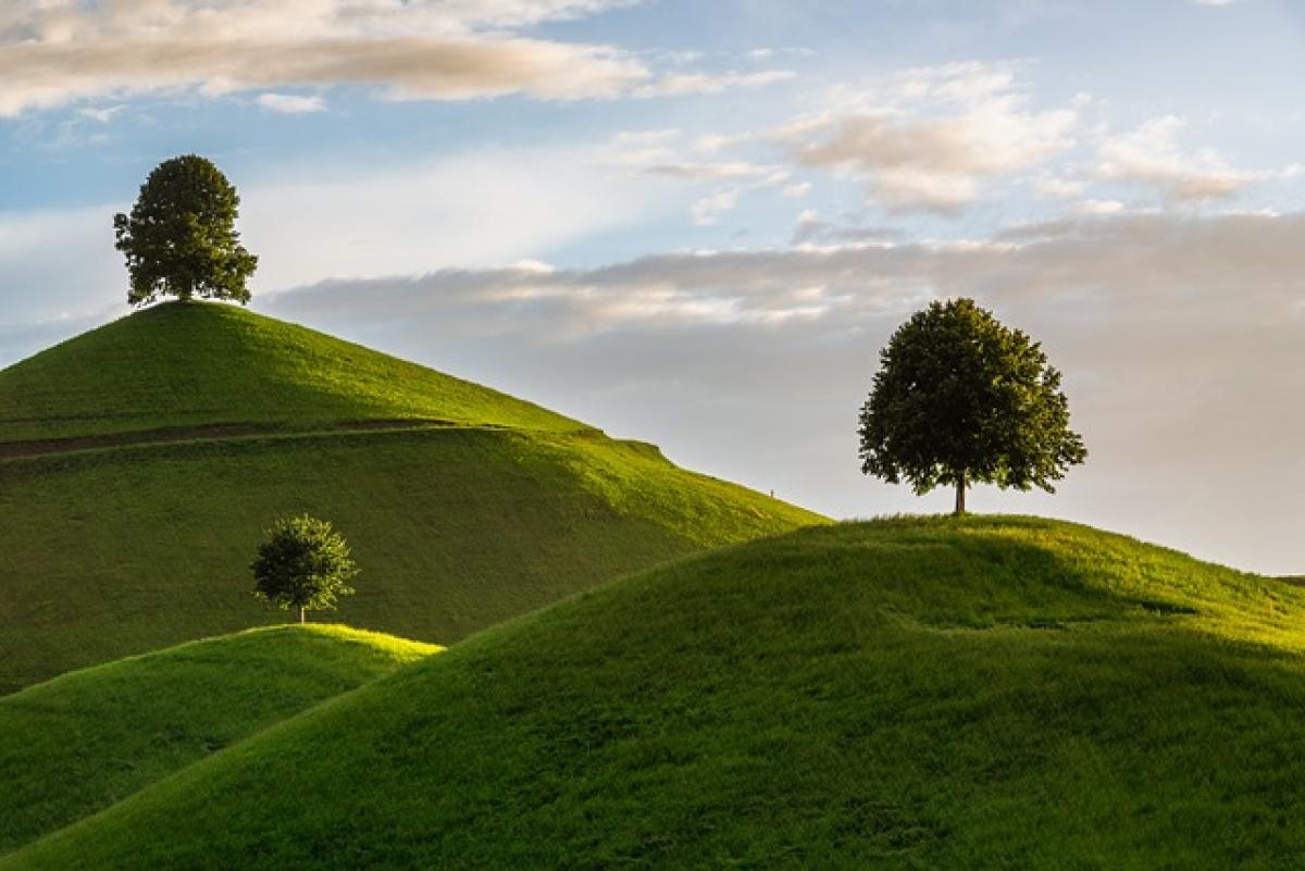 Giornata nazionale degli alberi: storia, significato e frasi per ce…