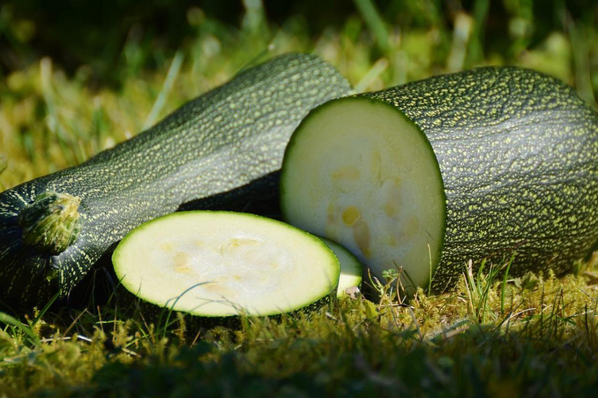 Cucinare le zucchine: 5 ricette facilissime