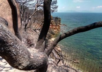 Grecia, ondata di caldo anomalo da domani: le autorità temono incendi, previsti 38° ad Atene giovedì | FOTO