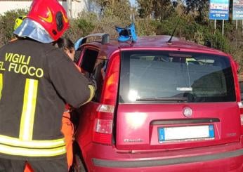 Bergamo, incidente sul lavoro: 23enne travolto da un albero che stava potando a Valgoglio, è in gravi condizioni