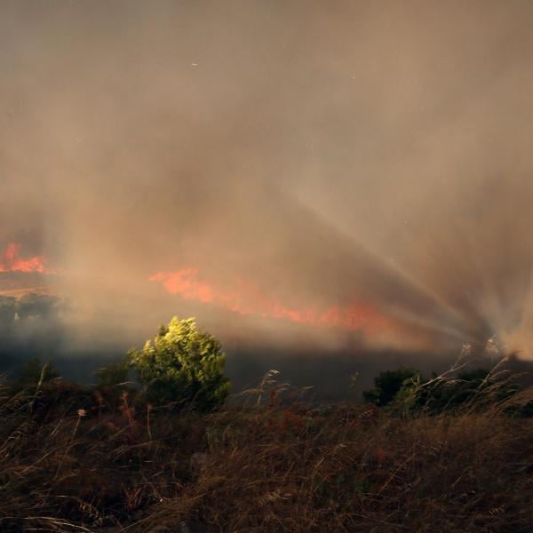 Arrestata la piromane di Follonica? Colta sul fatto  mentre dava fuoco alla vegetazione vicino alle abitazioni