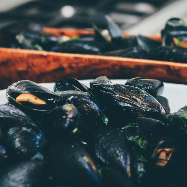 Un mare popolare: ricette con le cozze