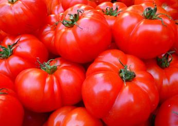 E’ subito estate con i pomodori gratinati in padella