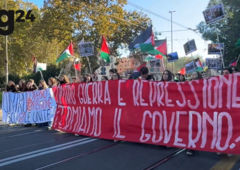 Sciopero nazionale scuola 15 novembre, corteo a Roma contro “il governo sionista e fascista”| FOTO&VIDEO